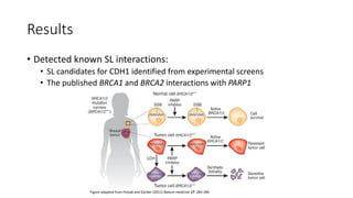 Bioinformatic Analysis of Synthetic Lethality in Breast Cancer | PPTX