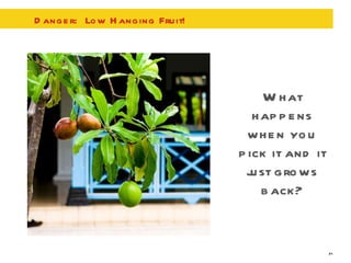 Danger:  Low Hanging Fruit! What happens when you pick it and it just grows back? 