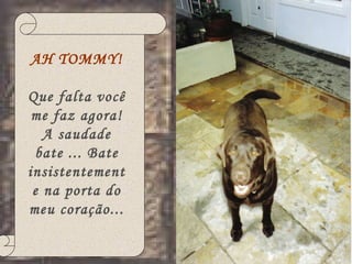 AH TOMMY! Que falta você me faz agora! A saudade bate ... Bate insistentemente na porta do meu coração... 