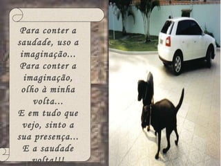 Para conter a saudade, uso a imaginação... Para conter a imaginação, olho à minha volta... E em tudo que vejo, sinto a sua presença... E a saudade volta!!! 