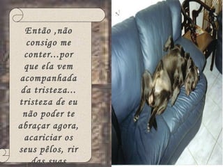 Então ,não consigo me conter...por que ela vem acompanhada da tristeza... tristeza de eu não poder te abraçar agora, acariciar os seus pêlos, rir das suas brincadeiras... 