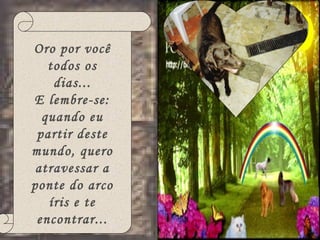 Oro por você todos os dias... E lembre-se: quando eu partir deste mundo, quero atravessar a ponte do arco íris e te encontrar... 