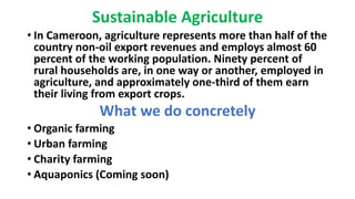 Sustainable Agriculture
• In Cameroon, agriculture represents more than half of the
country non-oil export revenues and employs almost 60
percent of the working population. Ninety percent of
rural households are, in one way or another, employed in
agriculture, and approximately one-third of them earn
their living from export crops.
What we do concretely
• Organic farming
• Urban farming
• Charity farming
• Aquaponics (Coming soon)
 