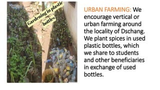 URBAN FARMING: We
encourage vertical or
urban farming around
the locality of Dschang.
We plant spices in used
plastic bottles, which
we share to students
and other beneficiaries
in exchange of used
bottles.
 