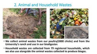 2. Animal and Household Wastes
• We collect animal wastes from our poultry(2000 chicks) and from the
University’s ranch and use in our biodigester.
• Household wastes are collected from 79 registered households, which
we also use alongside the animal wastes collected to produce biogas.
 