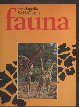 Tomo 02 de 12 enciclopedia salvat de la fauna fr de la fuente africa ii region etiopica 1979