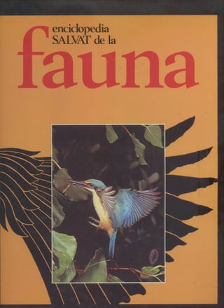 Tomo 03 de 12 enciclopedia salvat de la fauna   africa region etiopica 1979