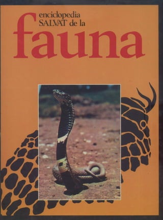 Tomo 04 de 12 enciclopedia salvat de la fauna fr de la fuente africa iv region etiopica 1979