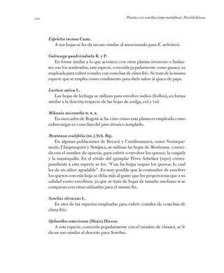 Plantas con semillas (espermatofitas). Dicotiledóneas101
Espeletia incana Cuatr.
A sus hojas se les da un uso similar al m...