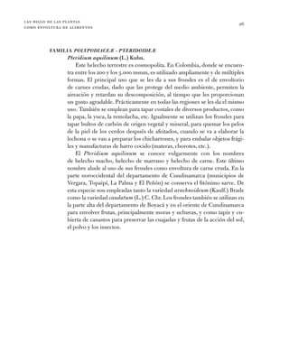 las hojas de las plantas
como envoltura de alimentos
26
Familia PolypodiaceÆ - PteridoideÆ
Pteridium aquilinum (L.) Kuhn.
...