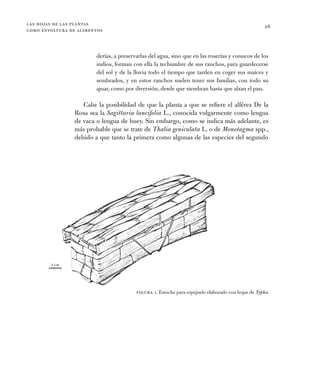 las hojas de las plantas
como envoltura de alimentos
28
Figura 1. Estuche para espejuelo elaborado con hojas de Typha.
1 c...