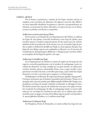 las hojas de las plantas
como envoltura de alimentos
42
Familia AraceÆ
Por la forma, consistencia y tamaño de las hojas, m...