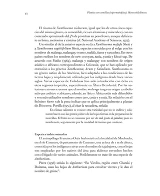 Plantas con semillas (espermatofitas). Monocotiledóneas45
El rizoma de Xanthosoma violaceum, igual que los de otras cinco ...