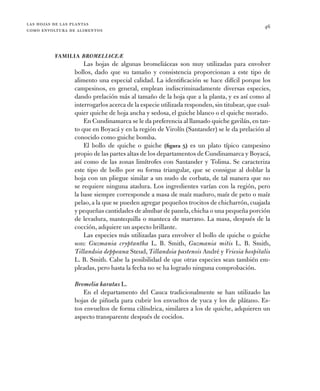 las hojas de las plantas
como envoltura de alimentos
46
Familia BromeliaceÆ
Las hojas de algunas bromeliáceas son muy util...
