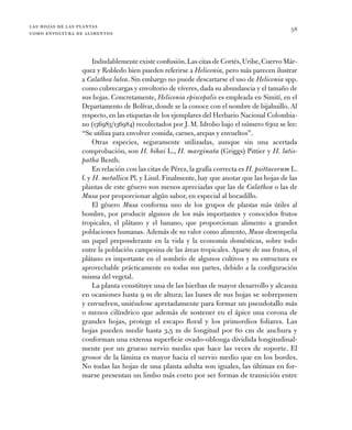 las hojas de las plantas
como envoltura de alimentos
58
Indudablemente existe confusión.Las citas de Cortés,Uribe,Cuervo M...