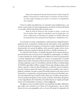 Plantas con semillas (espermatofitas). Monocotiledóneas65
Especie de empanada de masa de harina de maíz envuelta en hojas ...