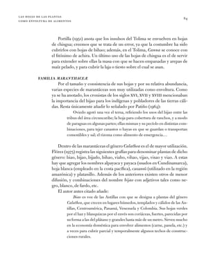 las hojas de las plantas
como envoltura de alimentos
84
Portilla (1951) anota que los insulsos del Tolima se envuelven en ...