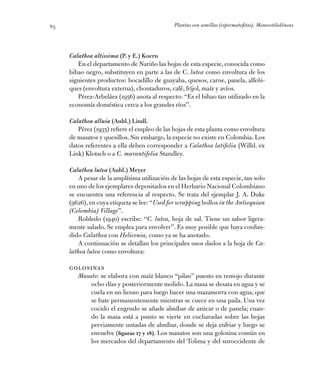 Plantas con semillas (espermatofitas). Monocotiledóneas85
Calathea altissima (P. y E.) Koern
En el departamento de Nariño ...