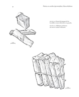 Plantas con semillas (espermatofitas). Monocotiledóneas91
2 cm
2 cm
Figura 19. Forma del empaque de los
bocadillos y tumes...