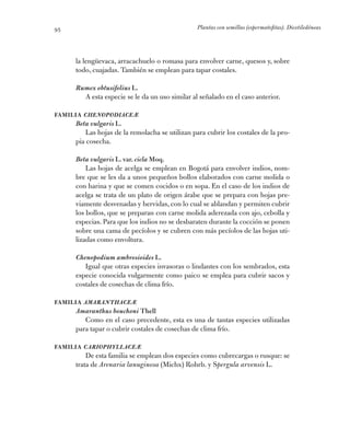 Plantas con semillas (espermatofitas). Dicotiledóneas95
la lengüevaca, arracachuelo o romasa para envolver carne, quesos y...