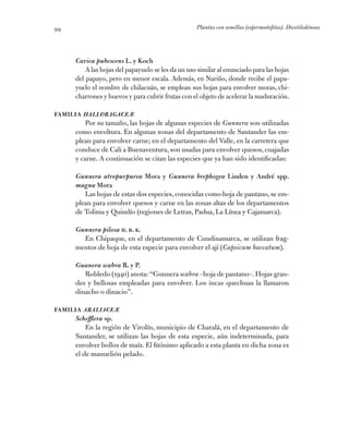 Plantas con semillas (espermatofitas). Dicotiledóneas99
Carica pubescens L. y Koch
A las hojas del papayuelo se les da un ...
