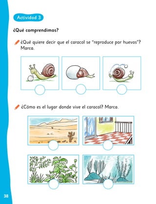 38
¿Qué comprendimos?
¿Qué quiere decir que el caracol se “reproduce por huevos”?
Marca.
¿Cómo es el lugar donde vive el caracol? Marca.
Actividad 3
 
