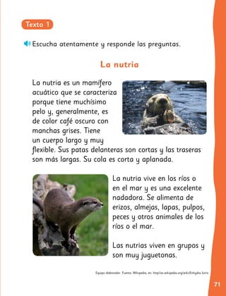 71
Escucha atentamente y responde las preguntas.
Texto 1
La nutria
La nutria es un mamífero
acuático que se caracteriza
porque tiene muchísimo
pelo y, generalmente, es
de color café oscuro con
manchas grises. Tiene
un cuerpo largo y muy
flexible. Sus patas delanteras son cortas y las traseras
son más largas. Su cola es corta y aplanada.
La nutria vive en los ríos o
en el mar y es una excelente
nadadora. Se alimenta de
erizos, almejas, lapas, pulpos,
peces y otros animales de los
ríos o el mar.
Las nutrias viven en grupos y
son muy juguetonas.
Equipo elaborador. Fuente: Wikipedia, en: http//es.wikipedia.org/wiki/Enhydra lutris
1
 