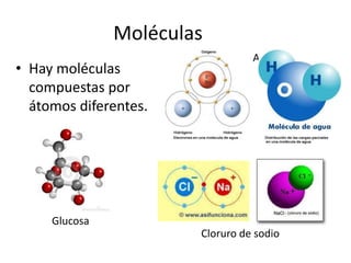 Moléculas
• Hay moléculas
compuestas por
átomos diferentes.
Glucosa
Cloruro de sodio
Agua
 