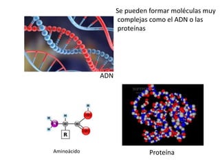 ADN
ProteínaAminoácido
Se pueden formar moléculas muy
complejas como el ADN o las
proteínas
 