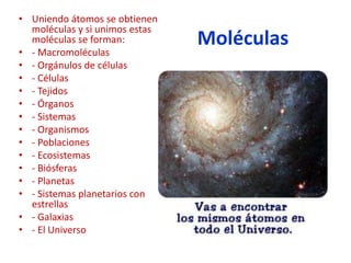 Moléculas
• Uniendo átomos se obtienen
moléculas y si unimos estas
moléculas se forman:
• - Macromoléculas
• - Orgánulos de células
• - Células
• - Tejidos
• - Órganos
• - Sistemas
• - Organismos
• - Poblaciones
• - Ecosistemas
• - Biósferas
• - Planetas
• - Sistemas planetarios con
estrellas
• - Galaxias
• - El Universo
 