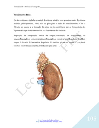 Tomografando a Técnica de Tomografar_______________________________________________________




Funções dos Rins:

Os rins realizam o trabalho principal do sistema urinário, com as outras partes do sistema
atuando, principalmente, como vias de passagem e áreas de armazenamento. Com a
filtração do sangue e a formação da urina, os rins contribuem para a homeostasia dos
líquidos do corpo de várias maneiras. As funções dos rins incluem:

Regulação    da   composição    iônica    do    sangue;Manutenção     da   osmolaridade   do
sangue;Regulação do volume sangüíneo;Regulação da pressão arterial;Regulação do pH do
sangue; Liberação de hormônios; Regulação do nível de glicose no sangue; Excreção de
resíduos e substâncias estranhas.Glândulas Supra-renais




                               Email: leonardosflor@gmail.com
                            Blog: http://leonardoflor.blogspot.com/
                                                                                               105
 