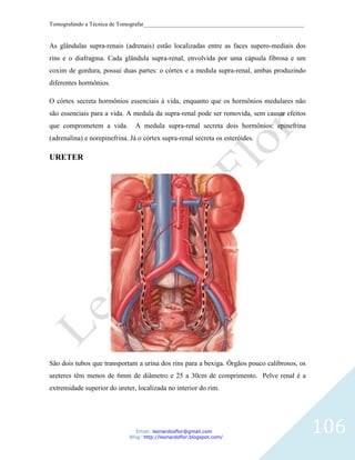Tomografando a Técnica de Tomografar_______________________________________________________


As glândulas supra-renais (adrenais) estão localizadas entre as faces supero-mediais dos
rins e o diafragma. Cada glândula supra-renal, envolvida por uma cápsula fibrosa e um
coxim de gordura, possui duas partes: o córtex e a medula supra-renal, ambas produzindo
diferentes hormônios.

O córtex secreta hormônios essenciais à vida, enquanto que os hormônios medulares não
são essenciais para a vida. A medula da supra-renal pode ser removida, sem causar efeitos
que comprometem a vida.         A medula supra-renal secreta dois hormônios: epinefrina
(adrenalina) e norepinefrina. Já o córtex supra-renal secreta os esteróides.

URETER




São dois tubos que transportam a urina dos rins para a bexiga. Órgãos pouco calibrosos, os
ureteres têm menos de 6mm de diâmetro e 25 a 30cm de comprimento. Pelve renal é a
extremidade superior do ureter, localizada no interior do rim.




                                Email: leonardosflor@gmail.com
                             Blog: http://leonardoflor.blogspot.com/
                                                                                              106
 