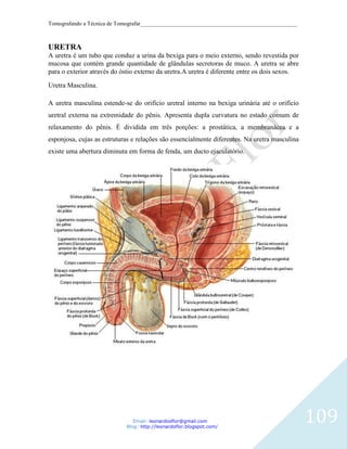 Tomografando a Técnica de Tomografar_______________________________________________________



URETRA
A uretra é um tubo que conduz a urina da bexiga para o meio externo, sendo revestida por
mucosa que contém grande quantidade de glândulas secretoras de muco. A uretra se abre
para o exterior através do óstio externo da uretra.A uretra é diferente entre os dois sexos.

Uretra Masculina.

A uretra masculina estende-se do orifício uretral interno na bexiga urinária até o orifício
uretral externa na extremidade do pênis. Apresenta dupla curvatura no estado comum de
relaxamento do pênis. É dividida em três porções: a prostática, a membranácea e a
esponjosa, cujas as estruturas e relações são essencialmente diferentes. Na uretra masculina
existe uma abertura diminuta em forma de fenda, um ducto ejaculatório.




                               Email: leonardosflor@gmail.com
                            Blog: http://leonardoflor.blogspot.com/
                                                                                               109
 