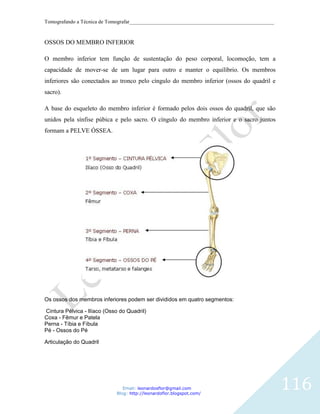 Tomografando a Técnica de Tomografar_______________________________________________________



OSSOS DO MEMBRO INFERIOR

O membro inferior tem função de sustentação do peso corporal, locomoção, tem a
capacidade de mover-se de um lugar para outro e manter o equilíbrio. Os membros
inferiores são conectados ao tronco pelo cíngulo do membro inferior (ossos do quadril e
sacro).

A base do esqueleto do membro inferior é formado pelos dois ossos do quadril, que são
unidos pela sínfise púbica e pelo sacro. O cíngulo do membro inferior e o sacro juntos
formam a PELVE ÓSSEA.




Os ossos dos membros inferiores podem ser divididos em quatro segmentos:

Cintura Pélvica - Ilíaco (Osso do Quadril)
Coxa - Fêmur e Patela
Perna - Tíbia e Fíbula
Pé - Ossos do Pé

Articulação do Quadril




                                Email: leonardosflor@gmail.com
                             Blog: http://leonardoflor.blogspot.com/
                                                                                              116
 