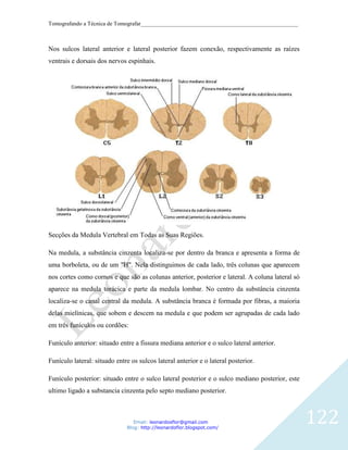 Tomografando a Técnica de Tomografar_______________________________________________________



Nos sulcos lateral anterior e lateral posterior fazem conexão, respectivamente as raízes
ventrais e dorsais dos nervos espinhais.




Secções da Medula Vertebral em Todas as Suas Regiões.

Na medula, a substância cinzenta localiza-se por dentro da branca e apresenta a forma de
uma borboleta, ou de um "H". Nela distinguimos de cada lado, três colunas que aparecem
nos cortes como cornos e que são as colunas anterior, posterior e lateral. A coluna lateral só
aparece na medula torácica e parte da medula lombar. No centro da substância cinzenta
localiza-se o canal central da medula. A substância branca é formada por fibras, a maioria
delas mielínicas, que sobem e descem na medula e que podem ser agrupadas de cada lado
em três funículos ou cordões:

Funículo anterior: situado entre a fissura mediana anterior e o sulco lateral anterior.

Funículo lateral: situado entre os sulcos lateral anterior e o lateral posterior.

Funículo posterior: situado entre o sulco lateral posterior e o sulco mediano posterior, este
ultimo ligado a substancia cinzenta pelo septo mediano posterior.



                                 Email: leonardosflor@gmail.com
                              Blog: http://leonardoflor.blogspot.com/
                                                                                                 122
 