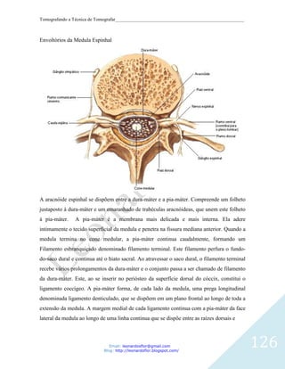 Tomografando a Técnica de Tomografar_______________________________________________________



Envoltórios da Medula Espinhal




A aracnóide espinhal se dispõem entre a dura-máter e a pia-máter. Compreende um folheto
justaposto à dura-máter e um emaranhado de trabéculas aracnóideas, que unem este folheto
à pia-máter.    A pia-máter é a membrana mais delicada e mais interna. Ela adere
intimamente o tecido superficial da medula e penetra na fissura mediana anterior. Quando a
medula termina no cone medular, a pia-máter continua caudalmente, formando um
Filamento esbranquiçado denominado filamento terminal. Este filamento perfura o fundo-
do-saco dural e continua até o hiato sacral. Ao atravessar o saco dural, o filamento terminal
recebe vários prolongamentos da dura-máter e o conjunto passa a ser chamado de filamento
da dura-máter. Este, ao se inserir no periósteo da superfície dorsal do cóccix, constitui o
ligamento coccígeo. A pia-máter forma, de cada lado da medula, uma prega longitudinal
denominada ligamento denticulado, que se dispõem em um plano frontal ao longo de toda a
extensão da medula. A margem medial de cada ligamento continua com a pia-máter da face
lateral da medula ao longo de uma linha continua que se dispõe entre as raízes dorsais e



                                Email: leonardosflor@gmail.com
                             Blog: http://leonardoflor.blogspot.com/
                                                                                                126
 