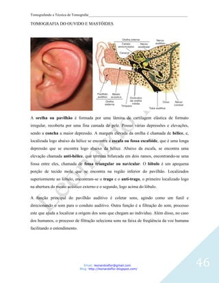 Tomografando a Técnica de Tomografar_______________________________________________________

TOMOGRAFIA DO OUVIDO E MASTÓIDES




A orelha ou pavilhão é formada por uma lâmina de cartilagem elástica de formato
irregular, recoberta por uma fina camada de pele. Possui várias depressões e elevações,
sendo a concha a maior depressão. A margem elevada da orelha é chamada de hélice, e,
localizada logo abaixo da hélice se encontra a escafa ou fossa escafóide, que é uma longa
depressão que se encontra logo abaixo da hélice. Abaixo da escafa, se encontra uma
elevação chamada anti-hélice, que termina bifurcada em dois ramos, encontrando-se uma
fossa entre eles, chamada de fossa triangular ou navicular. O lóbulo é um apequena
porção de tecido mole que se encontra na região inferior do pavilhão. Localizados
superiormente ao lóbulo, encontram-se o trago e o anti-trago, o primeiro localizado logo
na abertura do meato acústico externo e o segundo, logo acima do lóbulo.

A função principal do pavilhão auditivo é coletar sons, agindo como um funil e
direcionando o som para o conduto auditivo. Outra função é a filtração do som, processo
este que ajuda a localizar a origem dos sons que chegam ao individuo. Além disso, no caso
dos humanos, o processo de filtração seleciona sons na faixa de freqüência da voz humana
facilitando o entendimento.




                                 Email: leonardosflor@gmail.com
                              Blog: http://leonardoflor.blogspot.com/
                                                                                              46
 
