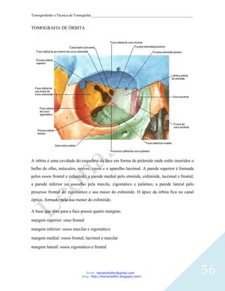 Tomografando a Técnica de Tomografar_______________________________________________________


TOMOGRAFIA DE ÓRBITA




A órbita é uma cavidade do esqueleto da face em forma de pirâmide onde estão inseridos o
bulbo do olho, músculos, nervos, vasos e o aparelho lacrimal. A parede superior é formada
pelos ossos frontal e esfenóide; a parede medial pelo etmóide, esfenóide, lacrimal e frontal;
a parede inferior ou assoalho pela maxila, zigomático e palatino; a parede lateral pelo
processo frontal do zigomático e asa maior do esfenóide. O ápice da órbita fica no canal
óptico, formado pela asa menor do esfenóide.

A base que abre para a face possui quatro margens:

margem superior: osso frontal

margem inferior: ossos maxilar e zigomático

margem medial: ossos frontal, lacrimal e maxilar

margem lateral: ossos zigomático e frontal




                                Email: leonardosflor@gmail.com
                             Blog: http://leonardoflor.blogspot.com/
                                                                                                56
 