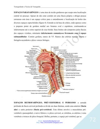 Tomografando a Técnica de Tomografar_______________________________________________________


ESPAÇO PARAFARÍNGEO: é uma área de tecido gorduroso que ocupa uma localização
central no pescoço. Apesar de não estar contido em uma fáscia própria e abrigar poucas
estruturas esta área é um espaço crítico para o entendimento e localização de lesões dos
diversos espaços supra-hióides (figura 4). Estende-se da base do crânio, onde aparece como
o pequeno ponto de gordura medial aos forames oval e espinhoso, continuando-se
inferiormente até o corno superior do osso hióide. Seus limites são compostos pelas fáscias
dos espaços vizinhos, entretanto inferiormente comunica-se livremente com o espaço
submandibular. Contém gordura, ramos de V3. Ramos das artérias maxilar interna e
faringéia ascendente e plexo venoso faríngeo.




ESPAÇOS RETROFARÍNGEO, PRÉ-VERTEBRAL E PERIGOSO: a camada
profunda da fáscia cervical profunda se divide em duas lâminas, sendo uma anterior (fáscia
alar) e outra posterior (fáscia pré-vertebral). Esta última envolve a musculatura pré-
vertebral e paraespinhal, o nervo frênico e o plexo cervical, as vértebras, as artérias e veias
vertebrais e troncos do plexo braquial. Define, portanto, o espaço pré-vertebral, que se

                                Email: leonardosflor@gmail.com
                             Blog: http://leonardoflor.blogspot.com/
                                                                                                  72
 
