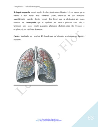 Tomografando a Técnica de Tomografar_______________________________________________________


Brônquio esquerdo possui ângulo de divergência com diâmetro 1,1 cm menor que o
direito   e    duas    vezes    mais     comprido      (5 cm). Divide-se   em   dois brônquios
secundários (o      pulmão     direito   possui    dois lobos) que se subdividem em ramos
menores       os    bronquíolos, que se espalham por todas as partes de cada lobo e
terminam       em     sacos    muito pequenos chamados alvéolos, onde são trocados o
oxigênio e o gás carbônico do sangue.


Carina: localizada ao nível de T5. Local onde os brônquios se dividem em direito e
esquerdo.




                                   Email: leonardosflor@gmail.com
                                Blog: http://leonardoflor.blogspot.com/
                                                                                                 83
 