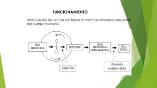 FUNCIONAMIENTO
•Atenuación de un haz de Rayos X mientras atraviesa una parte
del cuerpo humano.
 