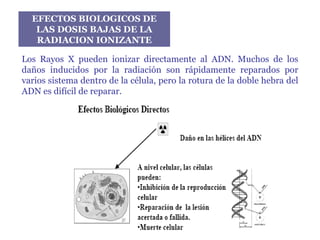 Tomografia Computarizada