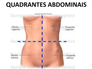 QUADRANTES ABDOMINAIS
 