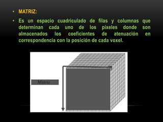 • MATRIZ:
• Es un espacio cuadriculado de filas y columnas que
determinan cada uno de los píxeles donde son
almacenados los coeficientes de atenuación en
correspondencia con la posición de cada voxel.
 