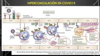 HIPERCOAGULACIÓN EN COVID19
22
Miriam Merad; Jerome Martin. Pathological inflammation in patients with COVID 19: a key role for monocytes and macrophages. Nature
reviews Inmunology. 6 mayo 2020. https://doi.org/10.1038/s41577-020-0331-4.
 