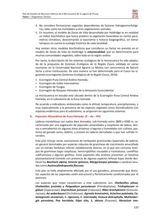 Plan de Gestión de Recursos Hídricos de la Microcuenca de la Laguna de Piuray
Tomo I – Diagnóstico Técnico
133
4. No considera formaciones vegetales dependientes de factores hidrogeomorfológi-
cos, tales como los humedales y otras vegetaciones azonales.
5. En resumen, el modelo de Zonas de Vida desarrollado por Holdridge es en realidad
un índice bioclimático que busca predecir la vegetación basándose en ciertos pará-
metros climáticos, desestimando la taxonomía e historia biogeográfica, sin tomar
tampoco en cuenta la ecología histórica de cada localidad.
Hoy existen otros modelos bioclimáticos que consideran un factor no previsto en el
modelo de Zonas de Vida de Holdridge la estacionalidad, que es determinante para
muchas comunidades vegetales, sobre todo en la región andina.
Por tanto, la descripción de los sistemas ecológicos de la microcuenca ha sido adapta-
da de la propuesta de Sistemas Ecológicos de la Región Cusco, validada en varias
reuniones en la Universidad Nacional Agraria La Molina con concurrencia de Nature
Serve y otras instituciones. De esta manera se han determinado para el Cusco las si-
guientes ecorregiones (Sistemas Ecológicos de la Región Cusco, 2010):
 Ecorregión Puna Central Andino Húmeda.
 Ecorregión de Valles Interandinos.
 Ecorregión de Yungas.
 Ecorregión de Bosques Húmedos de la Amazonía Suroccidental.
La microcuenca en estudio está ubicada dentro de la Ecorregión Puna Central Andina
Húmeda, en el subsistema de la Puna Húmeda.
De acuerdo a indicadores ambientales como la altitud, temperatura, precipitaciones, y
muy especialmente a la presencia de las especies vegetales como bioindicadores con
especies endémicas para el subsistema, se proponen los siguientes sistemas:
A. Pajonales Altoandinos de Puna Húmeda. (P – Aa – PH)
Laderas montañosas con suelos bien drenados, sub-húmedo entre 3800 a 4200 m, ca-
racterizado por una vegetación de pajonales amacollados y cespitosos de ladera, den-
sos a semiabiertos en algunas áreas próximas a lagunas y humedales con cultivos, pas-
toreo de ganado ovino, bobino, y erosión en laderas denudadas o que han sufrido in-
cendios.
Este piso incluye varias asociaciones de herbazales graminoides (pajonales de ladera),
en general dominados por especies robustas de gramíneas de crecimiento amacollado
con un estrato herbáceo inferior notablemente diverso, en el que son comunes bioti-
pos de gramíneas bajas cespitosas, hemicriptófitos rosulados y rizomatosos, caméfitos
subfruticosos y algunos geófitos. Estos pajonales alto andinos presentan un bioclima
pluvioestacional húmedo con presencia de algunas especies leñosas bajas donde des-
tacan los Baccharis alpina, Senecio spinosus, Margyricarpus pinnatus y cactácea lanu-
das como Austrocylindropuntia floccosa.
Este piso se halla ampliamente afectado por el uso ganadero, provocando que distin-
tos aspectos de los pajonales estén estructural y florísticamente condicionados por el
pastoreo.
Las especies que mejor caracterizan a este subsistema son: Cheilanthes pilosa,
Cheilanthes pruinata y Polypodium peruvianum (Pteridophytas); Trichophorum ri-
gidum (Cyperaceae); Sisyrinchium junceum (Iridaceae); Ribes brachybrotris (Grossula-
riaceae); Aa weberbaueri (Orchidaceae); Agrostis breviculmis, Aciachne pulvinata; Ca-
lamagrostis vicunarum, C. rigescens, C. intermedia, Festuca dolicophylla, Muhlenber-
gia peruviana, Poa horridula, Stipa ichu, S, obtusa (Poaceae); Hieracium neo-
 