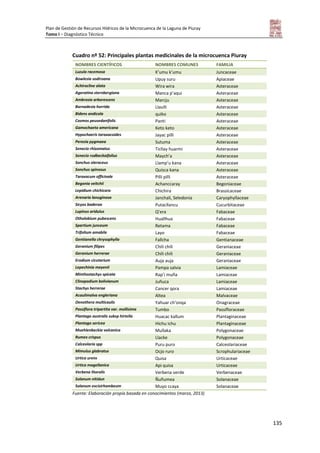 Plan de Gestión de Recursos Hídricos de la Microcuenca de la Laguna de Piuray
Tomo I – Diagnóstico Técnico
135
Cuadro nº 52: Principales plantas medicinales de la microcuenca Piuray
NOMBRES CIENTÍFICOS NOMBRES COMUNES FAMILIA
Luzula racemosa K’umu k’umu Juncaceae
Bowlesia sodiroana Upuy suru Apiaceae
Achirocline alata Wira wira Asteraceae
Ageratina sternbergiana Manca p’aqui Asteraceae
Ambrosia arborescens Marcju Asteraceae
Barnadesia horrida Llaulli Asteraceae
Bidens andicola quiko Asteraceae
Cosmos peusedanifolis Panti Asteraceae
Gamochaeta americana Keto keto Asteraceae
Hypochaeris taraxacoides Jayac pilli Asteraceae
Perezia pygmaea Sutuma Asteraceae
Senecio rhizomatus Ticllay huarmi Asteraceae
Senecio rudbeckaifolius Maych’a Asteraceae
Sonchus oleraceus Llamp’u kana Asteraceae
Sonchus spinosus Quisca kana Asteraceae
Taraxacum officinale Pilli pilli Asteraceae
Begonia veitchii Achanccaray Begoniaceae
Lepidium chichicara Chichira Brassicaceae
Arenaria lanuginosa Janchali, Seledonia Caryophyllaceae
Sicyos baderoa Putacllancu Cucurbitaceae
Lupinus aridulus Q’era Fabaceae
Otholobium pubescens Huallhua Fabaceae
Spartium junceum Retama Fabaceae
Trifolium amabile Layo Fabaceae
Gentianella chrysophylla Fallcha Gentianaceae
Geranium filipes Chili chili Geraniaceae
Geranium herrerae Chili chili Geraniaceae
Erodium cicutarium Auja auja Geraniaceae
Lepechinia meyenii Pampa salvia Lamiaceae
Minthostachys spicata Rap’i muña Lamiaceae
Clinopodium bolivianum Juñuca Lamiaceae
Stachys herrerae Cancer qora Lamiaceae
Acaulimalva engleriana Altea Malvaceae
Oenothera multicaulis Yahuar ch’onqa Onagraceae
Passiflora tripartita var. mollisima Tumbo Passifloraceae
Plantago australis subsp hirtella Huacac kallum Plantaginaceae
Plantago serícea Hichu ichu Plantaginaceae
Muehlenbeckia volcanica Mullaka Polygonaceae
Rumex crispus Llacke Polygonaceae
Calceolaria spp Puru puro Calceolariaceae
Mimulus glabratus Ocjo ruro Scrophulariaceae
Urtica urens Quisa Urticaceae
Urtica magellanica Api quisa Urticaceae
Verbena litoralis Verbena verde Verbenaceae
Solanum nitidun Ñuñumea Solanaceae
Solanum excisirhombeum Muyo ccaya Solanaceae
Fuente: Elaboración propia basada en conocimientos (marzo, 2013)
 