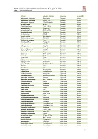 Plan de Gestión de Recursos Hídricos de la Microcuenca de la Laguna de Piuray
Tomo I – Diagnóstico Técnico
153
ESPECIES NOMBRE COMÚN FAMILIA CONDICIÓN
Calamagrostis vicunarum Ñapa pasto Poaceae Nativo
Calamagrostis intermedia Huaylla ichu Poaceae Nativo
Calamagrostis rigescens Tullu tullo pasto Poaceae Nativo
Cortaderia bífida Nihua Poaceae Nativo
Phalaris tuberinacea Pasto andino Poaceae Exótico
Festuca humilior Ccoya ichu Poaceae Nativo
Festuca dolicophylla Chillihua ichu Poaceae Nativo
Festuca urubambana Cima cima Poaceae Nativo
Hordeum vulgare Cebada Poaceae Exótico
Distichlis humilis Grama pasto Poaceae Nativo
Muhlenbergia peruviana Llica pasto Poaceae Nativo
Muhlenbergia fastigiata Pasto Poaceae Nativo
Nassella pubiflora Puca pasto Poaceae Nativo
Nassella mucronata Cebadilla pasto Poaceae Nativo
Lolium perenne Ray grass Poaceae Exótico
Paspalum pygmaeum Pampa pasto Poaceae Nativo
Paspalum pilgerianum Maicillo Poaceae Nativo
Pennisetum clandestinum Jikuyo Poaceae Exótico
Poa annua Ñut’u cjachu Poaceae Nativo
Poa candamoana Cjachu Poaceae Nativo
Poa horridula Cjachu Poaceae Nativo
Polypogon lutosus Sonsa pasto Poaceae Nativo
Polypogon viridis Occe ccora Poaceae Nativo
Sporobolus indicus Cjuchic much’un Poaceae Nativo
Stipa ichu Ich’u Poaceae Nativo
Stipa obtusa Ich’u Poaceae Nativo
Vulpia myurus Huayra pasto Poaceae Nativo
Azorella biloba Llamac chaquin Apiaceae Nativo
Bowlesia sodiroana Uphuysuru Apiaceae Nativo
Conium maculatum Hamp’ato culandro Apiaceae Exótico
Hydrocotyle bonariensis Matecllo Apiaceae Nativo
Hydrocotyle ranunculoides Ñut’u matecllo Apiaceae Nativo
Artemisia absintium Ajenjo Asteraceae Exótico
Achyrocline alata Wira wira Asteraceae Nativo
Achyrocline ramosissima Wira wira Asteraceae Nativo
Bidens andicola Quiko Asteraceae Nativo
Bidens pilosa P’irca Asteraceae Nativo
Bidens triplinervia Sillquihua Asteraceae Nativo
Cirsium vulgare Asnac cardo Asteraceae Exótico
Cosmos peusedanifolius Panti Asteraceae Nativo
Chrysanthemum leucanthemum Margarita Asteraceae Exótico
Gamochaeta americana Keto Keto Asteraceae Nativo
Gamochaeta purpurea Keto keto Asteraceae Nativo
Gamochaeta chonoticum Pampa keto keto Asteraceae Nativo
Gamochaeta humilis Pampa keto keto Asteraceae Nativo
Gnaphalium dombeyanum Wira wira Asteraceae Nativo
Hieracium neo-herrerae Tarukac nigrin Asteraceae Nativo
Hypochaeris meyeniana Jayac pilli Asteraceae Nativo
Hypochaeris taraxacoides Pilli pilli Asteraceae Nativo
Paranephelius ovatus Ch’ahui ch’ahui Asteraceae Nativo
Perezia pygmaea Ñut’u sutuma Asteraceae Nativo
Senecio rhizomatus Ticllay huarmi Asteraceae Nativo
Senecio vulgaris Folsa kana Asteraceae Nativo
Sigesbeckia jorullensis Trensa de chola Asteraceae Nativo
Sonchus oleraceus Llamp’u cjana Asteraceae Nativo
 