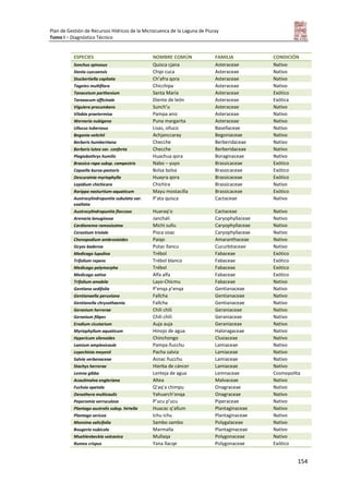 Plan de Gestión de Recursos Hídricos de la Microcuenca de la Laguna de Piuray
Tomo I – Diagnóstico Técnico
154
ESPECIES NOMBRE COMÚN FAMILIA CONDICIÓN
Sonchus spinosus Quisca cjana Asteraceae Nativo
Stevia cuzcoensis Chipi cuca Asteraceae Nativo
Stuckertiella capitata Ch’afra qora Asteraceae Nativo
Tagetes multiflora Chicchipa Asteraceae Nativo
Tanacetum parthenium Santa María Asteraceae Exótico
Taraxacum officinale Diente de león Asteraceae Exótica
Viguiera procumbens Sunch’u Asteraceae Nativo
Vilobia praetermisa Pampa aniz Asteraceae Nativo
Werneria nubigena Puna margarita Asteraceae Nativo
Ullucus tuberosus Lisas, olluco Basellaceae Nativo
Begonia veitchii Achjanccaray Begoniaceae Nativo
Berberis humbertiana Checche Berberidaceae Nativo
Berberis lutea var. conferta Checche Berberidaceae Nativo
Plagiobothrys humilis Huachua qora Boraginaceae Nativo
Brassica rapa subsp. campestris Nabo – yuyo Brassicaceae Exótico
Capsella bursa-pastoris Bolsa bolsa Brassicaceae Exótico
Descurainia myriophylla Huayra qora Brassicaceae Exótico
Lepidium chichicara Chichira Brassicaceae Nativo
Rorippa nasturtium-aquaticum Mayu mostacilla Brassicaceae Exótico
Austrocylindropuntia subulata var.
exaltata
P’ata quisca Cactaceae Nativo
Austrocylindropuntia floccosa Huaraq’o Cactaceae Nativo
Arenaria lanuginosa Janchali Caryophyllaceae Nativo
Cardionema ramosissima Michi sullu Caryophyllaceae Nativo
Cerastium triviale Pisca sisac Caryophyllaceae Nativo
Chenopodium ambrosioides Paiqo Amaranthaceae Nativo
Sicyos baderoa Putac llancu Cucurbitaceae Nativo
Medicago lupulina Trébol Fabaceae Exótico
Trifolium repens Trébol blanco Fabaceae Exótico
Medicago polymorpha Trébol Fabaceae Exótico
Medicago sativa Alfa alfa Fabaceae Exótico
Trifolium amabile Layo-Chicmu Fabaceae Nativo
Gentiana sedifolia P’enqa p’enqa Gentianaceae Nativo
Gentianaella peruviana Fallcha Gentianaceae Nativo
Gentianella chrysothaenia Fallcha Gentianaceae Nativo
Geranium herrerae Chili chili Geraniaceae Nativo
Geranium filipes Chili chili Geraniaceae Nativo
Erodium cicutarium Auja auja Geraniaceae Nativo
Myriophyllum aquaticum Hinojo de agua Haloragaceae Nativo
Hypericum silenoides Chinchongo Clusiaceae Nativo
Lamium amplexicaule Pampa ñucchu Lamiaceae Nativo
Lepechinia meyenii Pacha salvia Lamiaceae Nativo
Salvia verbenaceae Asnac ñucchu Lamiaceae Nativo
Stachys herrerae Hierba de cáncer Lamiaceae Nativo
Lemna gibba Lenteja de agua Lemnaceae Cosmopolita
Acaulimalva engleriana Altea Malvaceae Nativo
Fuchsia apetala Q’aq’a chimpu Onagraceae Nativo
Oenothera multicaulis Yahuarch’onqa Onagraceae Nativo
Peperomia verruculosa P’ucu p’ucu Piperaceae Nativo
Plantago australis subsp. hirtella Huacac q’allum Plantaginaceae Nativo
Plantago sericea Ichu ichu Plantaginaceae Nativo
Monnina salicifolia Sambo sambo Polygalaceae Nativo
Bougeria nubicola Marmalla Plantaginaceae Nativo
Muehlenbeckia volcanica Mullaqa Polygonaceae Nativo
Rumex crispus Yana llacqe Polygonaceae Exótico
 
