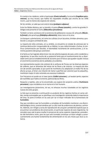 Plan de Gestión de Recursos Hídricos de la Microcuenca de la Laguna de Piuray
Tomo I – Diagnóstico Técnico
157
En cuanto a los roedores, están el poronqoe (Cavia tschudii) y la vizcacha (Lagidium peru-
vianum), ya muy escasa, que habita los roquedales situados por encima de los 3700
msnm, y por lo menos dos especies de ratones.
De los cánidos, se sabe que aún está el atoq (ycalopex culpaeus).
Entre los félidos destaca, por su tamaño, el puma (Puma concolor); y entre los grandes fi-
tófagos está presente el luichu (Odocoileus peruvianus).
También se tiene constancia de la existencia de poblaciones escasas de achocalla (Muste-
la frenat) y de qarachupa (Didelphys albiventris), éstos raros en la zona.
Los bosques y plantaciones, así como los cultivos circun lacustres, brindan alimento y pro-
tección a una gran cantidad de aves.
La mayoría de estos animales, en su ámbito, se encuentra en estado de amenaza por la
continua destrucción irresponsable de su hábitat, la caza indiscriminada o furtiva, la con-
tinua contaminación por biocidas, el desmedido incremento de construcciones, y el au-
mento paulatino del parque automotor.
A la fecha se han logrado determinar más de ochenta especies de aves, entre residentes y
migratorias, lo que dice mucho de su potencial tanto para el mantenimiento de su diver-
sidad como para el establecimiento de acciones para el futuro que puedan ayudar incluso
al crecimiento económico de los poblados circundantes.
Los representantes quizás más vistosos de la avifauna de Piuray son las diversas especies
de colibríes, que se alimentan del néctar de las flores y de insectos. La mayoría de ellos
son de tamaño apreciable, lo que pone de manifiesto una adaptación al medio frío de las
alturas ya que, al tener una relación de menor superficie por volumen que los pequeños,
mantienen mejor el calor evitando una excesiva irradiación.
Con frecuencia se puede ver al siwar qente (Colibri coruscans), y al waskar qente, especies
de trochílidos que habita el entorno, polinizando las flores.
Respecto a reptiles, sólo se ha encontrado una especie de serpiente andina (Tachimenis
peruviana), cuya mordedura no es nociva en el ser humano.
Las investigaciones posteriores, tal vez, no ofrezcan muchas novedades en los registros
nuevos de estos grupos.
La lista que se presenta a continuación es producto de los registros hechos en varias sali-
das, siendo aconsejable que se planifique una investigación sostenida dada la importancia
del área. Se pone el énfasis en las aves por ser el mejor indicador de la homeostasis de
humedales.
Hay que considerar que los humedales y complejos de humedales mantienen una diversi-
dad biológica única, caracterizándose por un alto nivel de endemismo de plantas y anima-
les. Además, son refugio y zonas de reproducción de una gran cantidad de especies que se
encuentran con problemas de conservación, en particular especies de aves migratorias. Se
considera que vale la pena resaltar la presencia de varias especies migratorias, proceden-
tes del hemisferio norte, para las que este humedal constituye un buen refugio y conse-
cuentemente una fuente fundamental de alimentación en los seis meses que dura su es-
tancia.
 